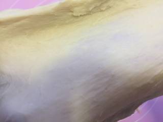 11、吐司,到完全拓展阶段