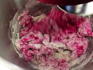 3、火龙果芝士土豆爆浆小餐包,开动厨师机，2档，和面3分钟