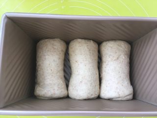 13、全麦吐司,卷好的卷放入吐司盒内，盖上盖子烤箱放碗热水，入烤箱二次发酵