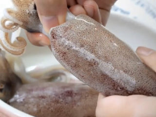 2、黄金鱿鱼圈,先处理一下鱿鱼，拔掉鱿鱼头，然后拔掉中间有一片透明的鱼骨，听说这个鱼骨可以做药用。哈哈哈