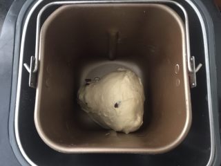 8、抹茶欧克软欧包,揉面程序结束前3分钟放入提子干。