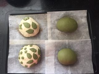 20、抹茶欧克软欧包,全部放入烤盘中。