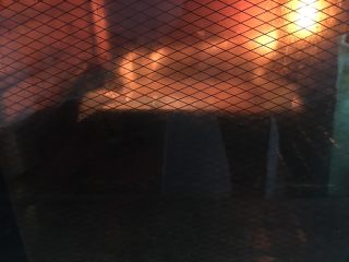 15、虎皮蛋糕卷,上下火170度15分钟左右。