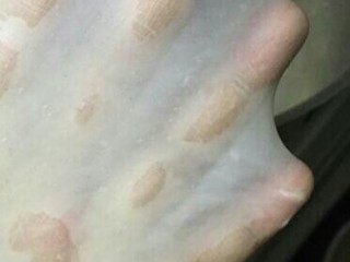 9、毛毛虫面包,揉好的面能拉出薄薄得膜即可。