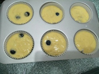 11、蓝莓酥粒蛋糕,挤入面糊，将面糊震平。