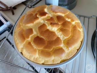 8、戚风蛋糕【低糖低脂，爱美女生的生日蛋糕】,把烤好的蛋糕马上取出，在台面上用力摔几下，然后倒扣在架子上，待冷却即可食用。