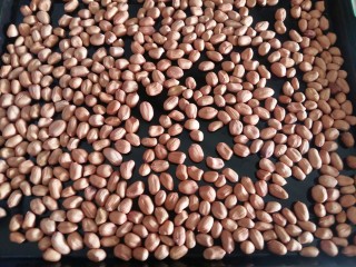 2、花生酱,在烤盘上铺一层花生,不要多到摞起来,只需要薄薄的一层,这样烤的受热均匀而且容易熟。