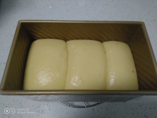 13、手撕面包,发酵至2倍大