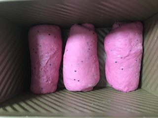 11、火龙果切片吐司,卷起放入吐司模。我做的比较匆忙，大家卷的漂亮点成品会更美。