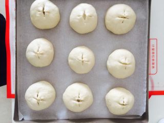 19、黑椒土豆小面包,剪好准备二发