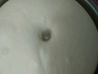 4、纯牛奶小吐司,第二天早上取出，手指沾点面粉插个洞，不塌陷不回缩即第一次发酵完成