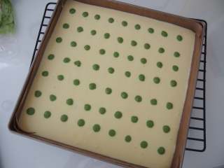 13、波点蛋糕卷,剩余的抹茶面糊我又挤了一层波点