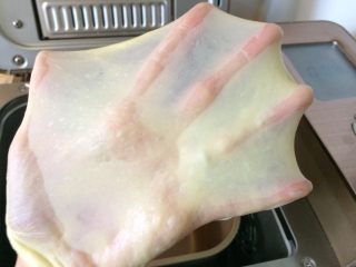 4、红薯酥皮小面包,和面结束，面团呈完全状态，可以拉出漂亮的手套膜。