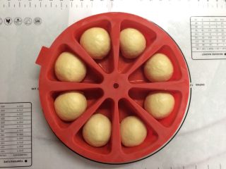 8、红薯酥皮小面包,直接滚圆后放入合适的模具内。放入烤箱进行二发。时间约30分钟。