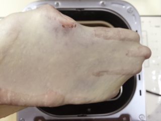 3、淡奶油软欧包,揉至完成扩展出薄膜