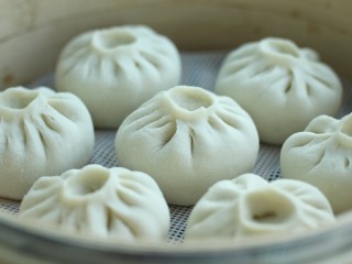 22、东北猪肉酸菜馅包子,待包子生胚明显变大后