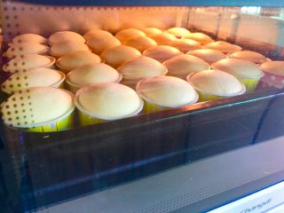 8、戚风杯子蛋糕,如果一开始就温度比较高,那么蛋糕很快就开裂了。这里要说一下的是,大家要根据自己家烤箱的温度脾气来调整,因为每个人家里的烤箱温度脾气都是不一样的。