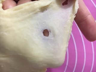 4、椰油小餐包,揉到出现半透明薄膜即可