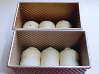 9、波兰种蔓越莓吐司面包,依次做好的卷，放入吐司模具中。（我的模具450g）