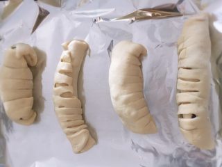 8、满屋飘香，吃过一次就爱上的椰蓉面包,将面团自上由下卷起来，成为毛毛虫的形状。放入烤箱内进行二次发酵(烤箱内放一盘热水)