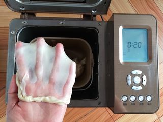 12、奶黄小餐包,和面完成，顺手拉一个手套膜
