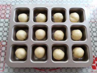 18、奶黄小餐包,所有的面团包好馅放入模具中
