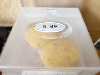 14、南瓜蜜豆馒头,开水上锅蒸20分钟即可。我用的是臻米科技电蒸箱。不到一分钟就上汽，所以我直接上锅蒸了。（ 如果用普通蒸锅，一定记得要开水上锅哦。）