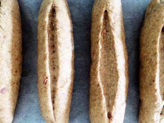 10、芝士黑麦土豆培根软欧,全部整形完后用刀在面包上划一刀，我划得比较深…影响美观了