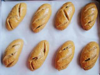 13、葡萄干红糖欧包,再次发酵稍微变大。(二次发酵大约需30——40分钟)用锋利的刀片割出喜欢的花纹。