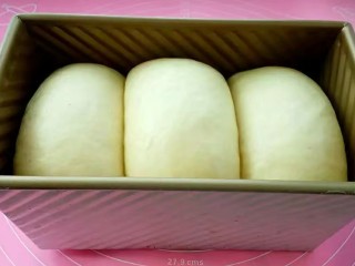 11、牛奶吐司,再次发酵至土司盒的八分满，盖上土司盒盖