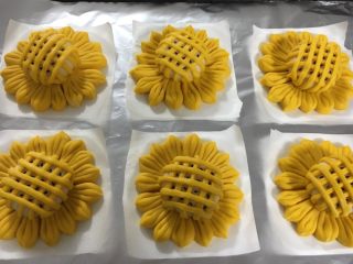 42、向日葵豆沙面包,在空档里全部点上一粒黑芝麻