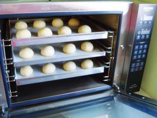 12、奶香汉堡胚,开始第二次发酵(大约需:30——40分钟)