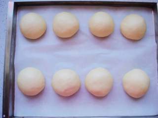 13、奶香汉堡胚,二次发酵至稍微变大。