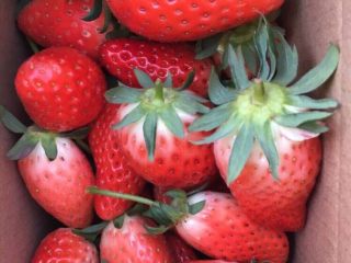 12、草莓果酱,做起来吧