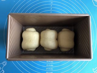 9、超简易吐司,三个全部卷好后摆入吐司模具中，盖好盖子，放到温暖的地方进行二次发酵