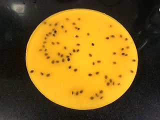 18、百香果慕斯,脱模。