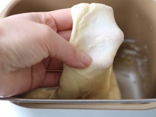 2、葡萄干吐司,开启揉面模式，进行揉面，直到能拉出薄膜；