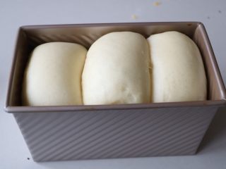 10、葡萄干吐司,发酵至8分满的时候；