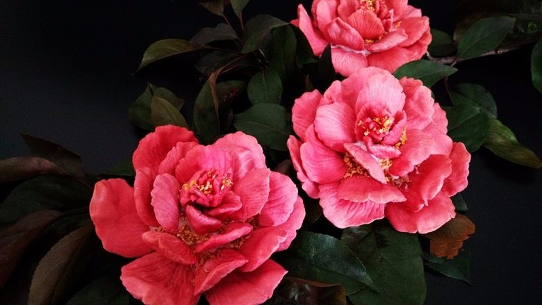 国色天香立体饼干