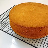 10寸戚风蛋糕胚