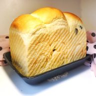 一次性发酵葡萄干椰子油白吐司