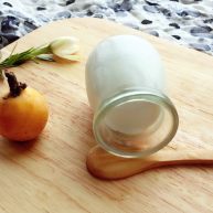 可以倒扣的自制老酸奶面包机版