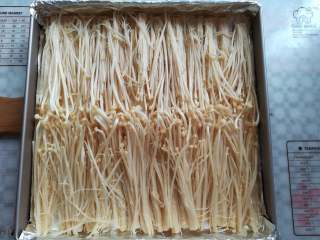 7、蒜香金针菇（烤箱版）,把金针菇平铺放在烤盘里