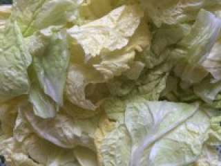 3、自制【韩式部队火锅】,白菜洗干净撕成块。