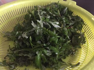 1、清明时节应节之一——青团果子,新鲜艾草洗干净沥干水分