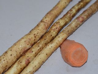 3、排骨炖山药尝一口都不想放下,准备山药，铁杆山药最好了。