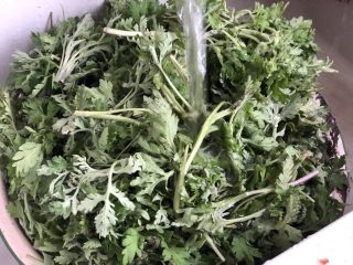 1、时令菜谱-网红艾草青团,新鲜艾草择洗干净。