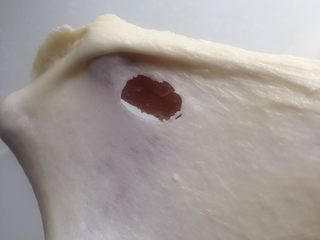 4、培根芝士卷,大概五分钟左右，面团会变得不粘手，可以拉出稍厚的膜，破口不光滑