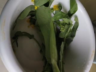 11、冬至美食～当归生姜羊肉汤,同时将菜心洗净焯水