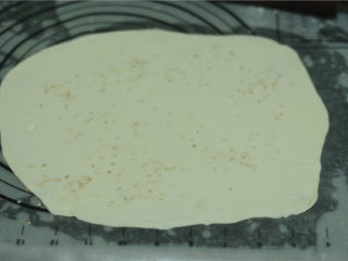 4、烤肉酱香饼,均匀抹上油，撒上少许盐和白芝麻